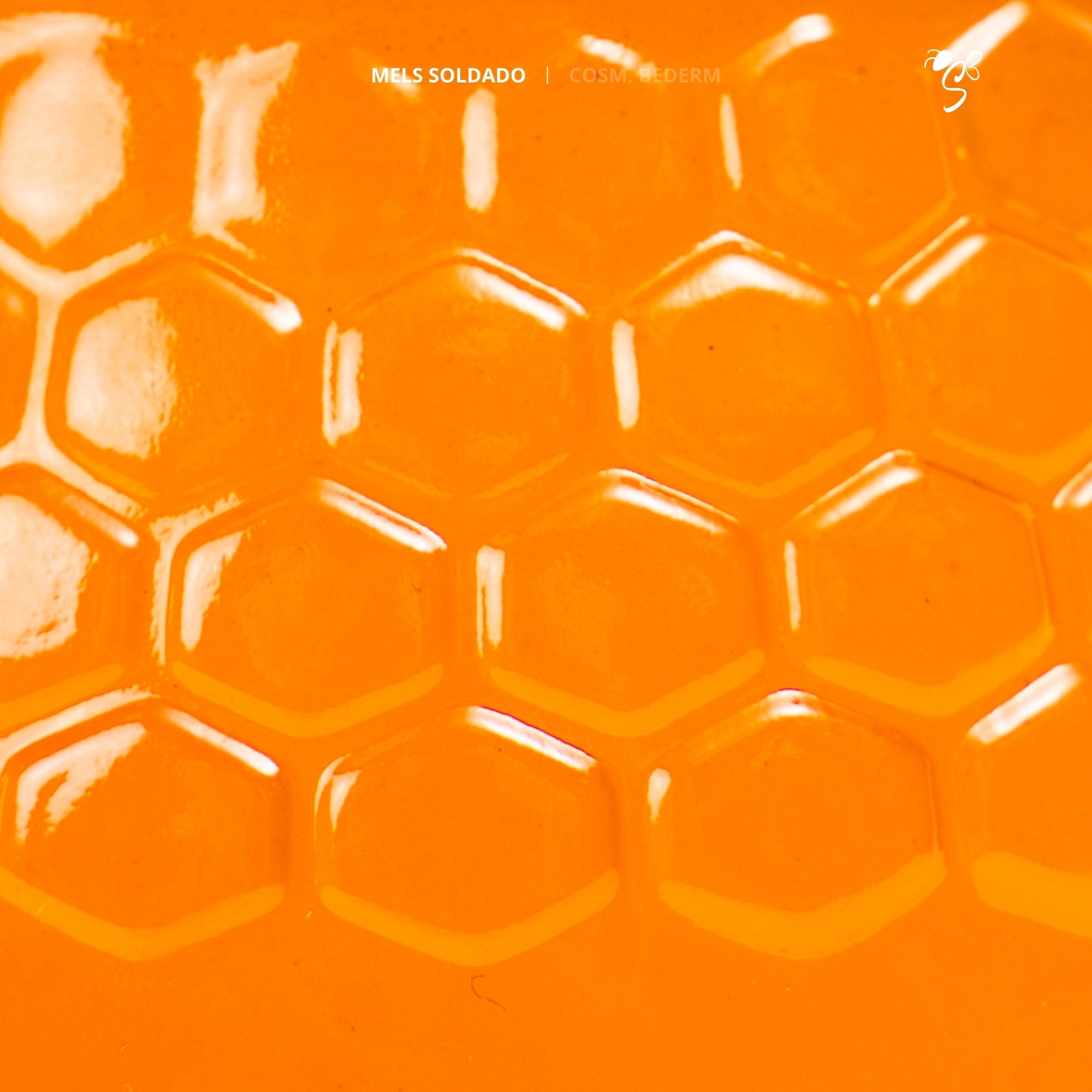 Miel Mil Flores – Equilibrada y Natural